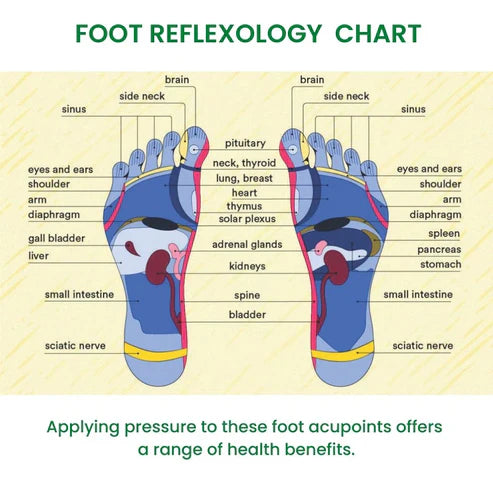 Sugar Patients Acupressure Slippers Foot Therapy Massager