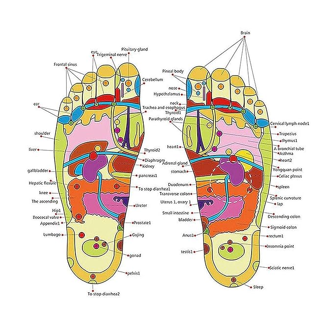 Sugar Patients Acupressure Slippers Foot Therapy Massager